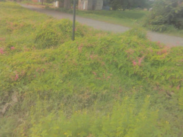 First image of 110 Rhymesbury in May Pen, Clarendon, Jamaica - property is For Sale