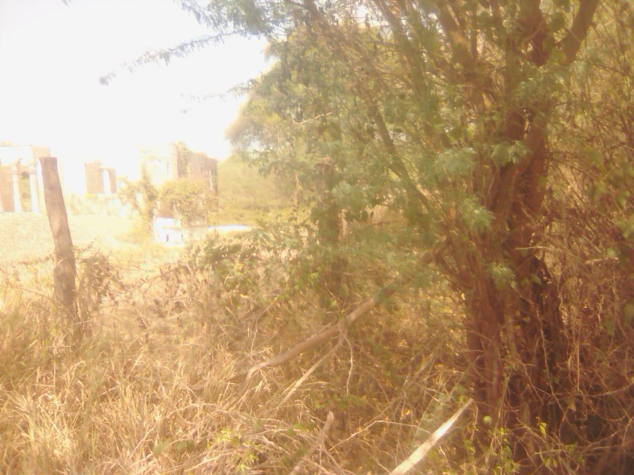Vacant-Residential-Lot-for-Sale-in-Rhymesbury-Clarendon-1.25-Acres Seventh image of 110 Rhymesbury in May Pen, Clarendon, Jamaica - property is For Sale