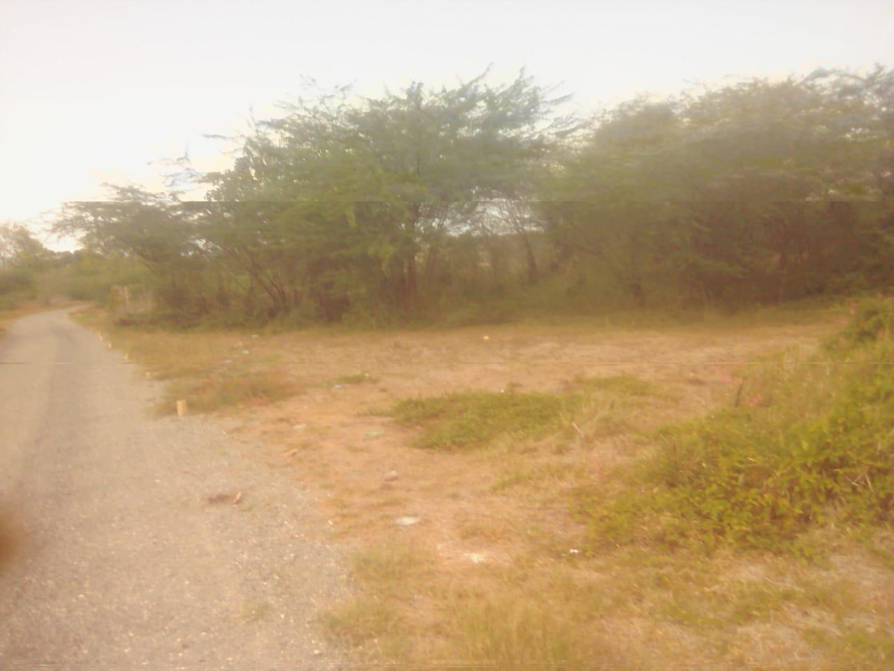 Vacant-Residential-Lot-for-Sale-in-Rhymesbury-Clarendon-1.25-Acres Eighth image of 110 Rhymesbury in May Pen, Clarendon, Jamaica - property is For Sale