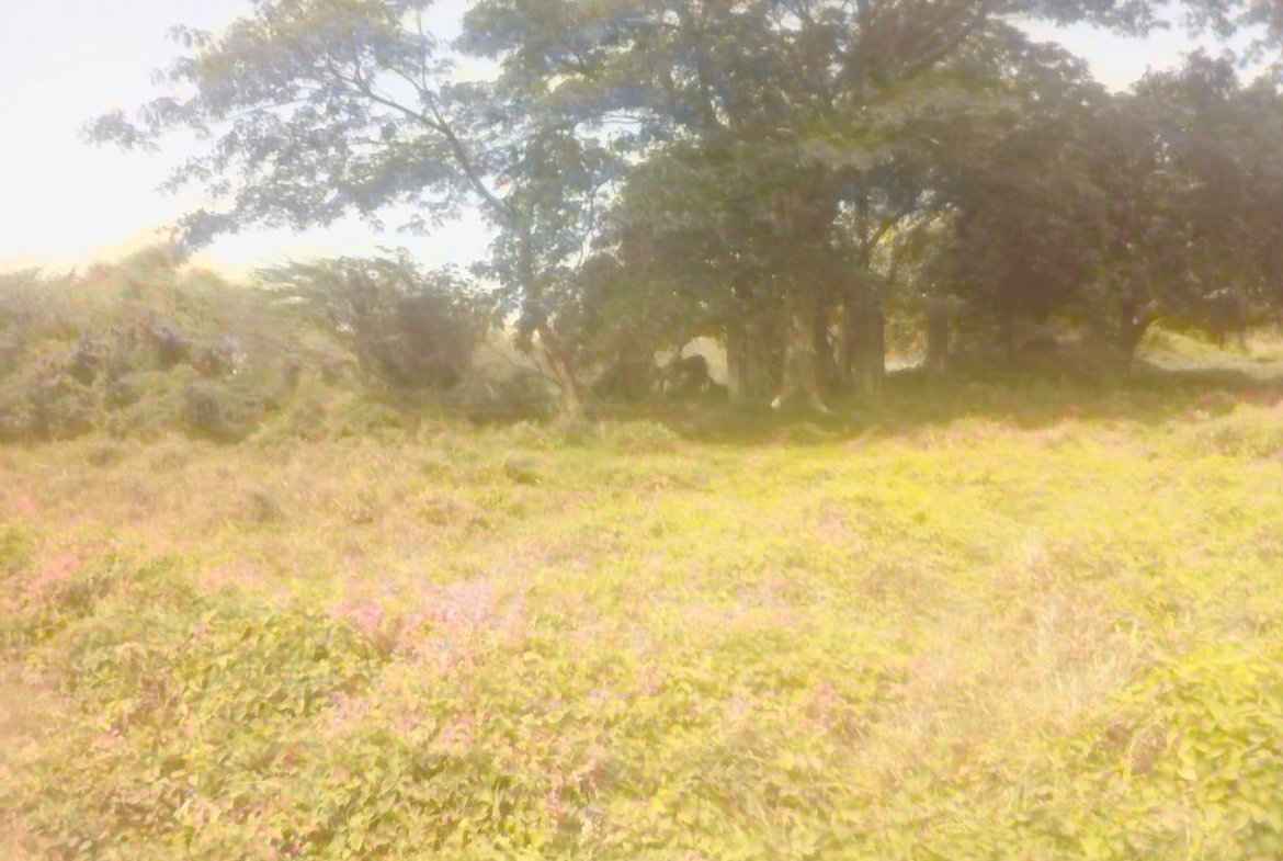 Ninth image of 110 Rhymesbury in May Pen, Clarendon, Jamaica - property is For Sale