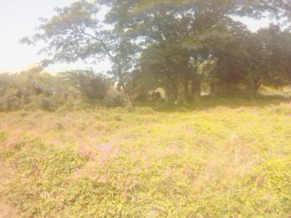 Ninth image of 110 Rhymesbury in May Pen, Clarendon, Jamaica - property is For Sale