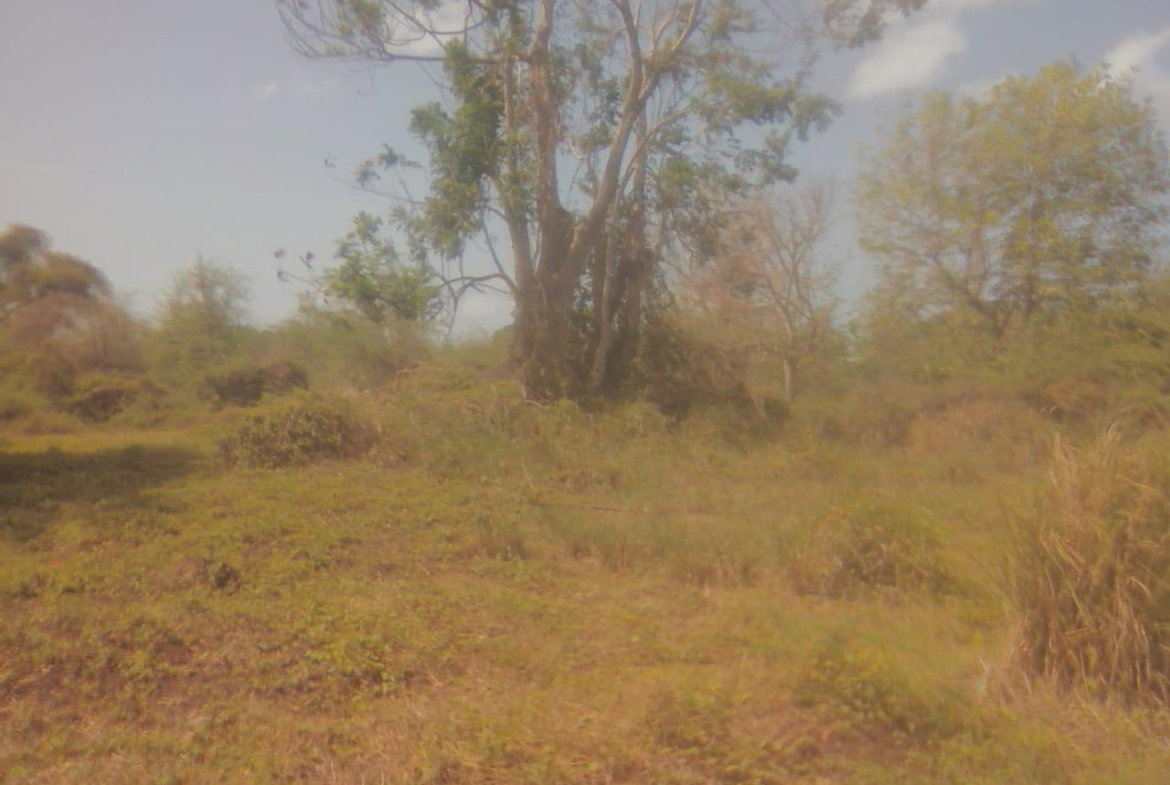 Tenth image of 110 Rhymesbury in May Pen, Clarendon, Jamaica - property is For Sale