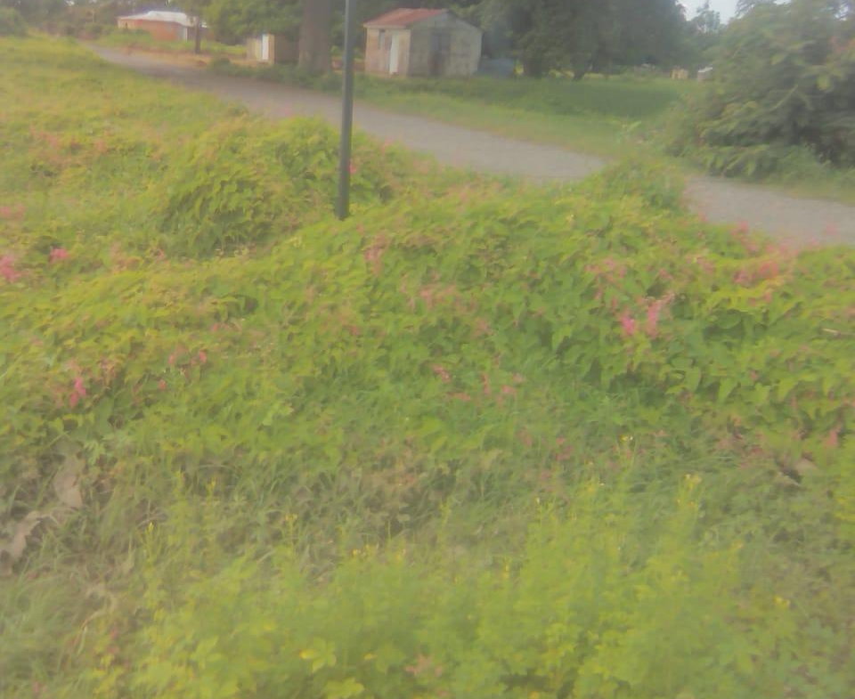 First image of 110 Rhymesbury in May Pen, Clarendon, Jamaica - property is For Sale