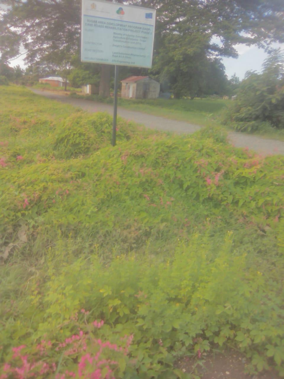 Vacant-Residential-Lot-for-Sale-in-Rhymesbury-Clarendon-1.25-Acres First image of 110 Rhymesbury in May Pen, Clarendon, Jamaica - property is For Sale