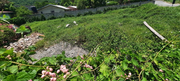 Thirteenth image of Rachaels Close in Kingston 7, St. Andrew, Jamaica - property is For Sale