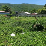 First image of Rachaels Close in Kingston 7, St. Andrew, Jamaica - property is For Sale