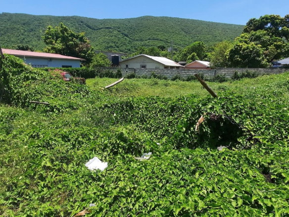 First image of Rachaels Close in Kingston 7, St. Andrew, Jamaica - property is For Sale