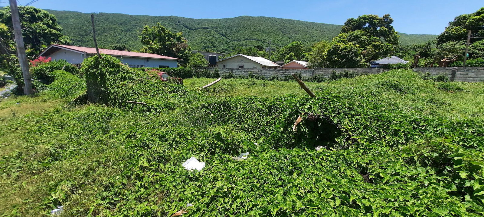 First image of Rachaels Close in Kingston 7, St. Andrew, Jamaica - property is For Sale