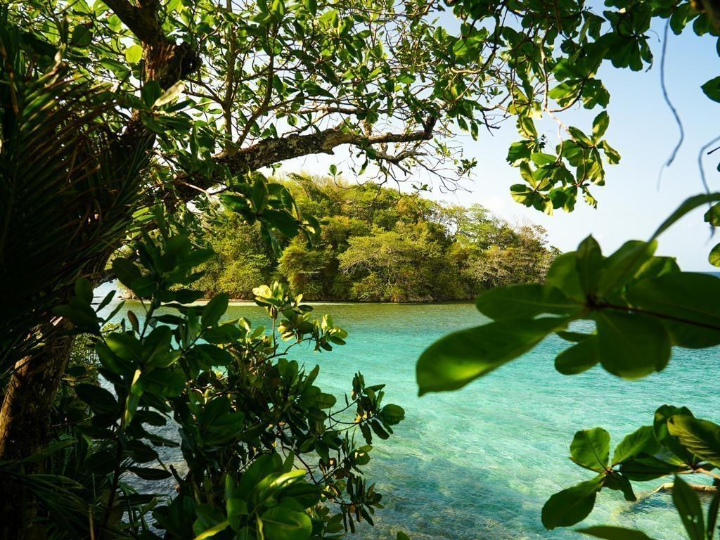 Second image of 41 San San in SAN SAN, Portland, Jamaica - property is For Sale