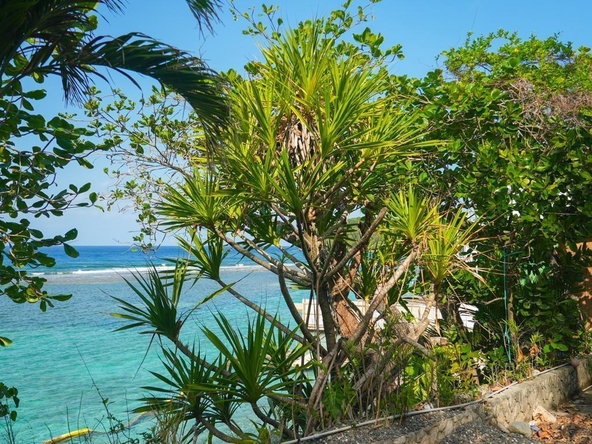 Third image of 41 San San in SAN SAN, Portland, Jamaica - property is For Sale