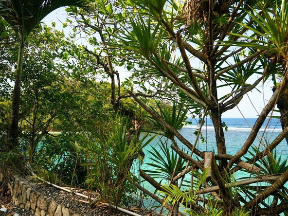 Fifth image of 41 San San in SAN SAN, Portland, Jamaica - property is For Sale