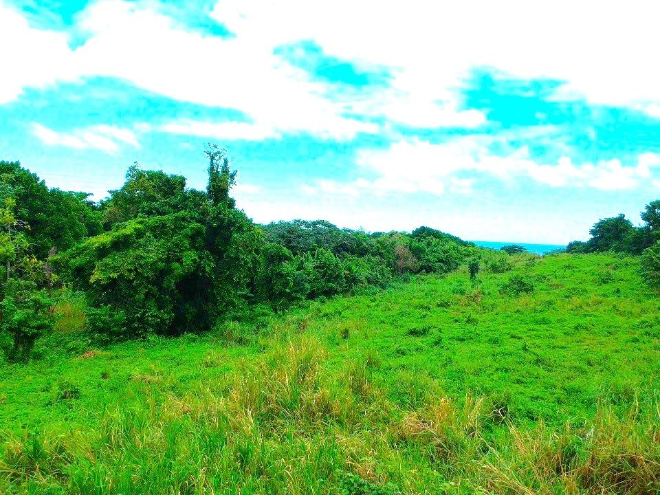 Eleventh image of 42 Ross Craig in Manchioneal, Portland, Jamaica - property is For Sale
