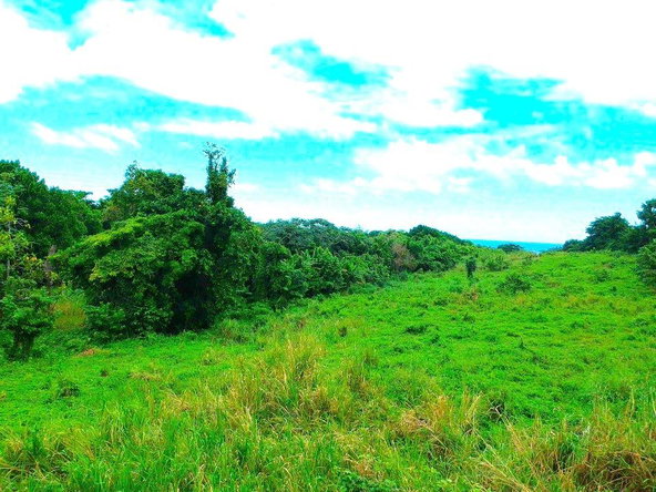Eleventh image of 42 Ross Craig in Manchioneal, Portland, Jamaica - property is For Sale
