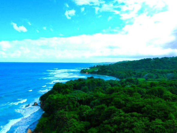 Twelfth image of 42 Ross Craig in Manchioneal, Portland, Jamaica - property is For Sale