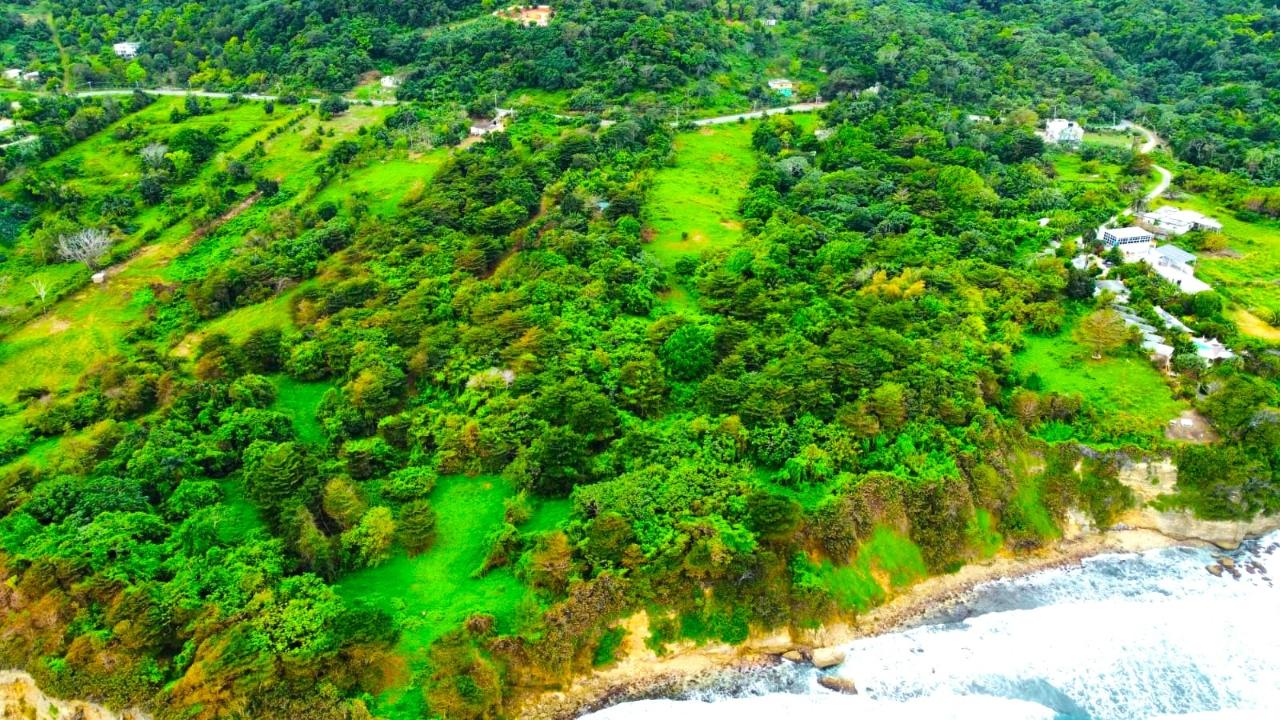 Sixth image of 42 Ross Craig in Manchioneal, Portland, Jamaica - property is For Sale