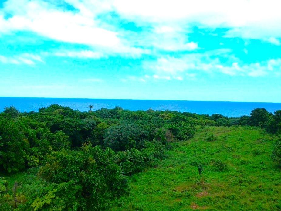 Ninth image of 42 Ross Craig in Manchioneal, Portland, Jamaica - property is For Sale