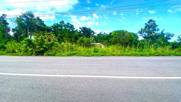 Tenth image of 42 Ross Craig in Manchioneal, Portland, Jamaica - property is For Sale