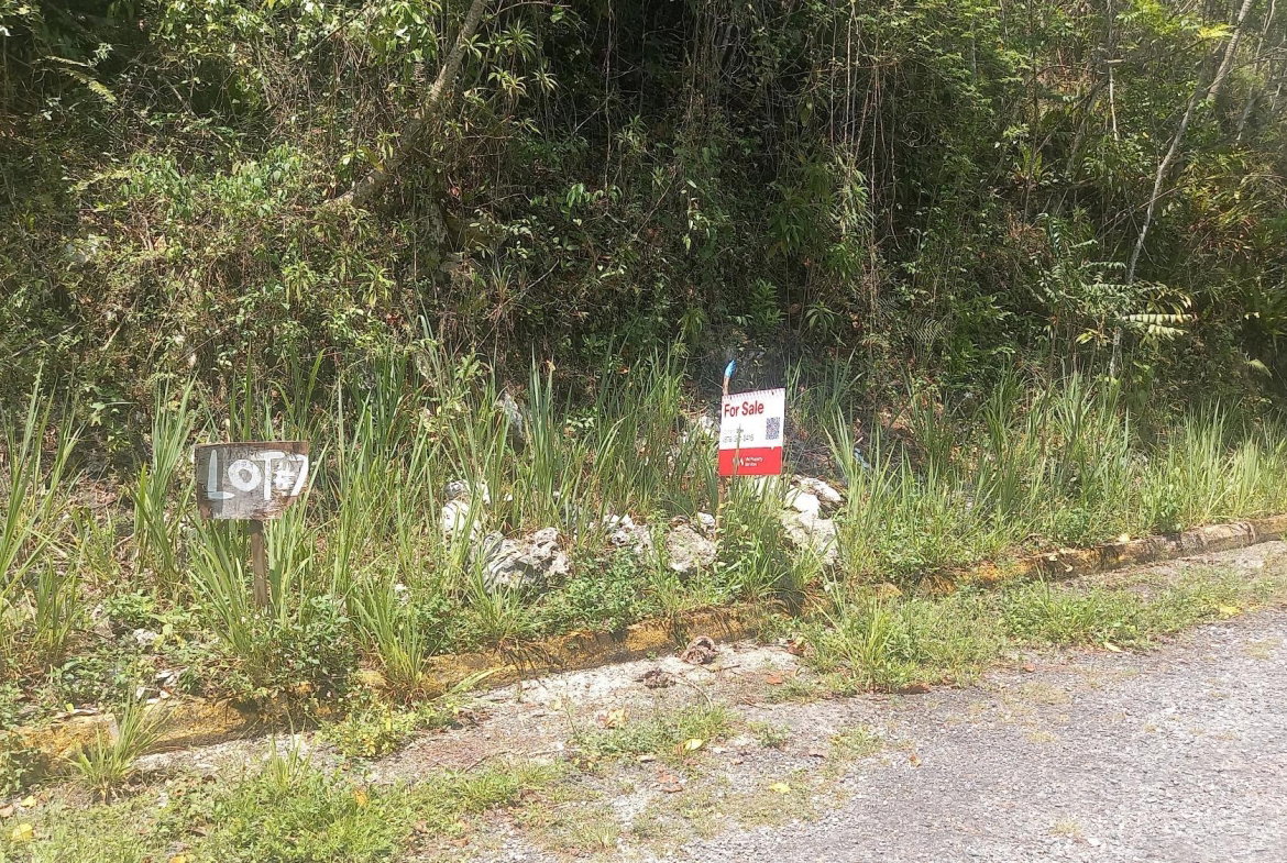 Second image of Lot 7- Red Hills, St.andrew in Red Hills, St. Andrew, Jamaica - property is For Sale