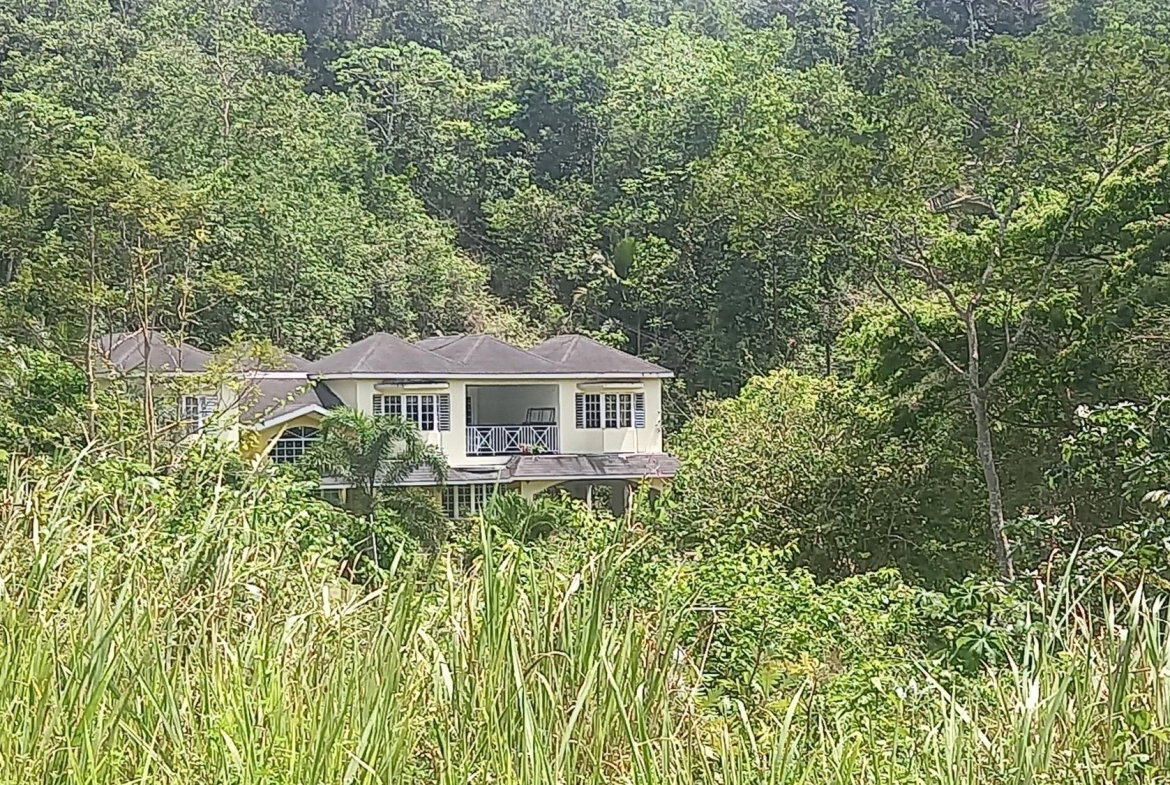 Third image of Lot 7- Red Hills, St.andrew in Red Hills, St. Andrew, Jamaica - property is For Sale