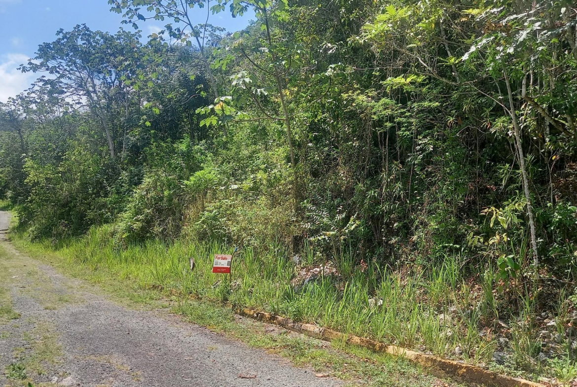 Fourth image of Lot 7- Red Hills, St.andrew in Red Hills, St. Andrew, Jamaica - property is For Sale