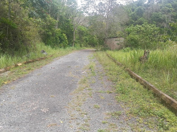 First image of Lot 7- Red Hills, St.andrew in Red Hills, St. Andrew, Jamaica - property is For Sale