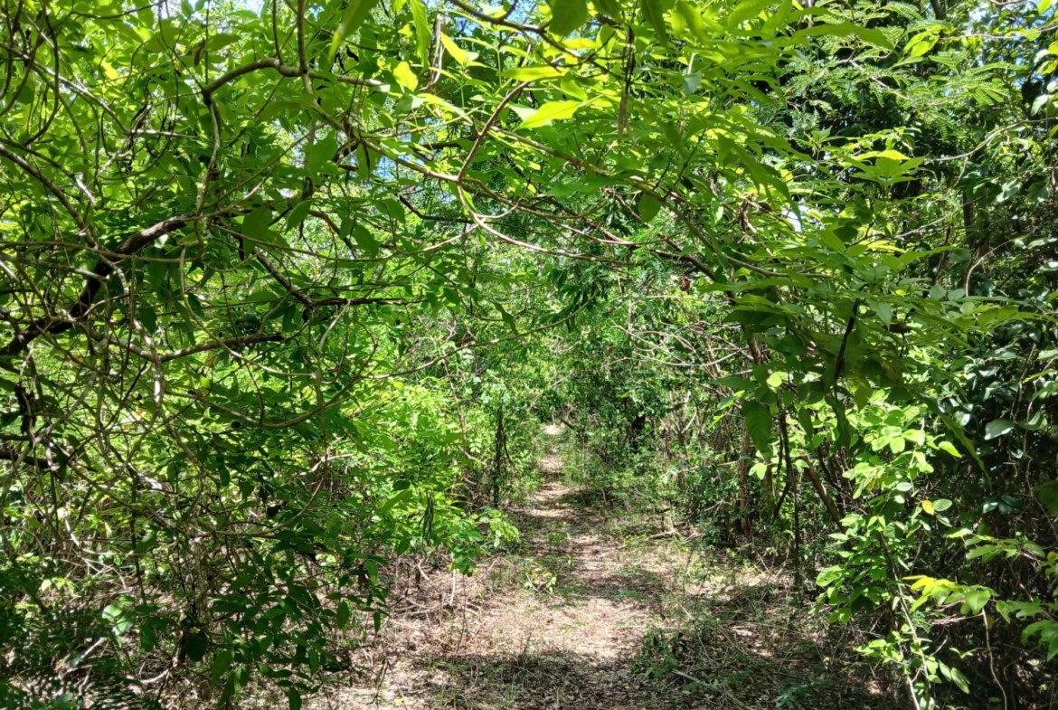 First image of 13 Block b Sevens Plantation in Sevens, Clarendon, Jamaica - property is For Sale