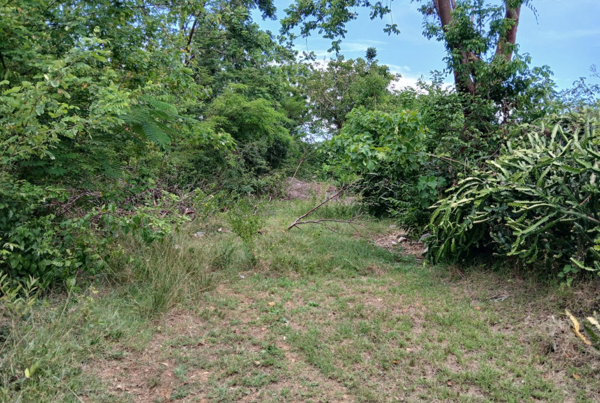 Third image of 13 Block b Sevens Plantation in Sevens, Clarendon, Jamaica - property is For Sale