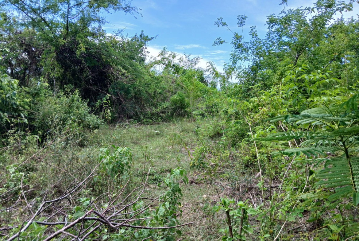 Fourth image of 13 Block b Sevens Plantation in Sevens, Clarendon, Jamaica - property is For Sale