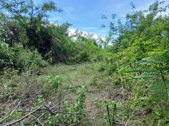 Fourth image of 13 Block b Sevens Plantation in Sevens, Clarendon, Jamaica - property is For Sale