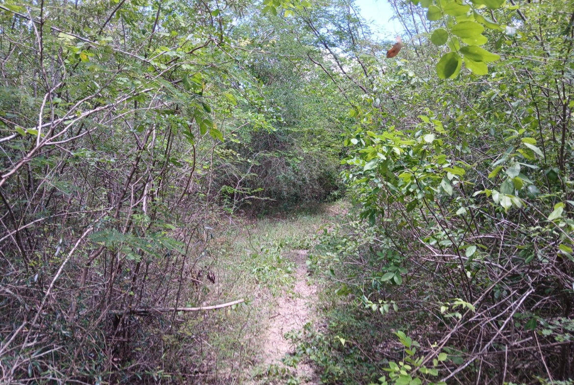 Fifth image of 13 Block b Sevens Plantation in Sevens, Clarendon, Jamaica - property is For Sale