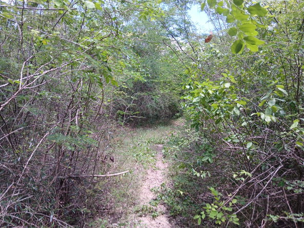 Fifth image of 13 Block b Sevens Plantation in Sevens, Clarendon, Jamaica - property is For Sale