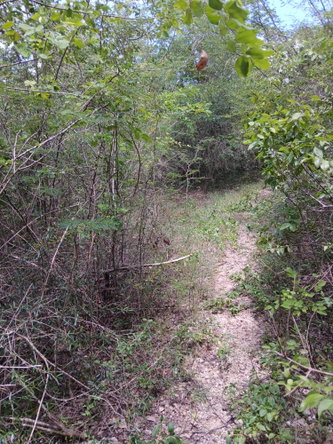 Sixth image of 13 Block b Sevens Plantation in Sevens, Clarendon, Jamaica - property is For Sale
