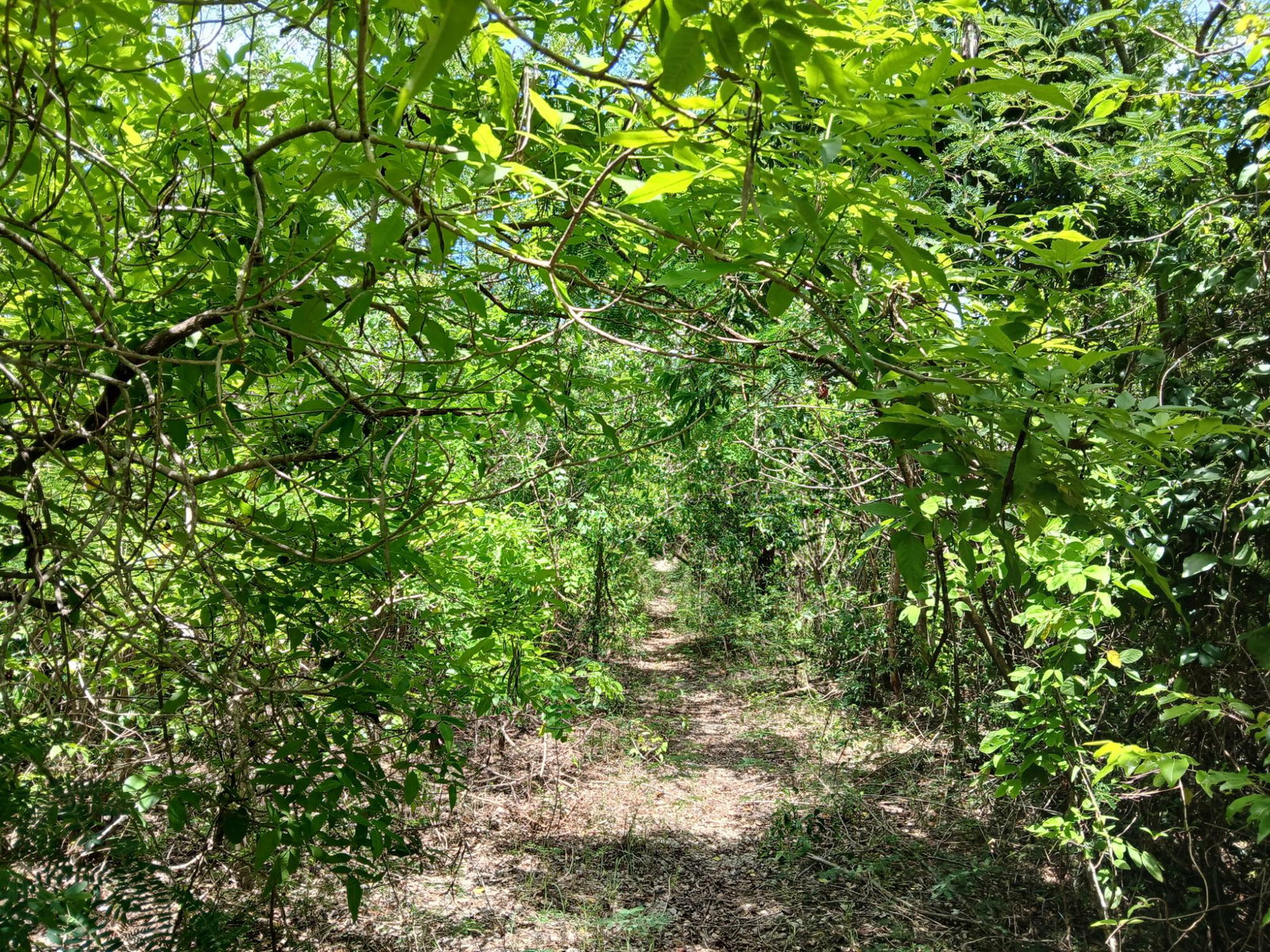 First image of 13 Block b Sevens Plantation in Sevens, Clarendon, Jamaica - property is For Sale