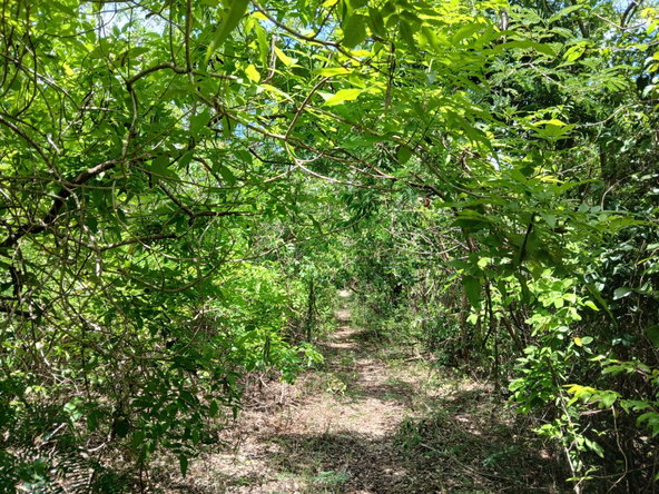 First image of 13 Block b Sevens Plantation in Sevens, Clarendon, Jamaica - property is For Sale