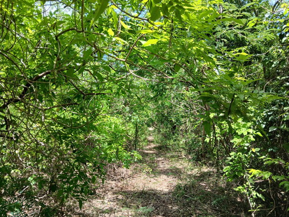 First image of 13 Block b Sevens Plantation in Sevens, Clarendon, Jamaica - property is For Sale