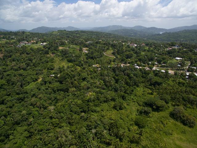 Second image of Esher Road in Highgate, St. Mary, Jamaica - property is For Sale