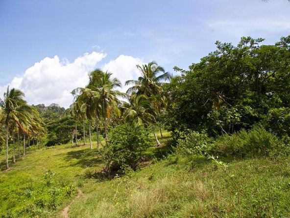 Fifth image of Esher Road in Highgate, St. Mary, Jamaica - property is For Sale