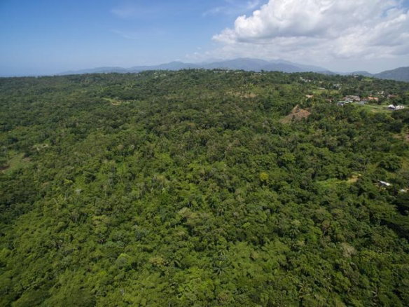 First image of Esher Road in Highgate, St. Mary, Jamaica - property is For Sale