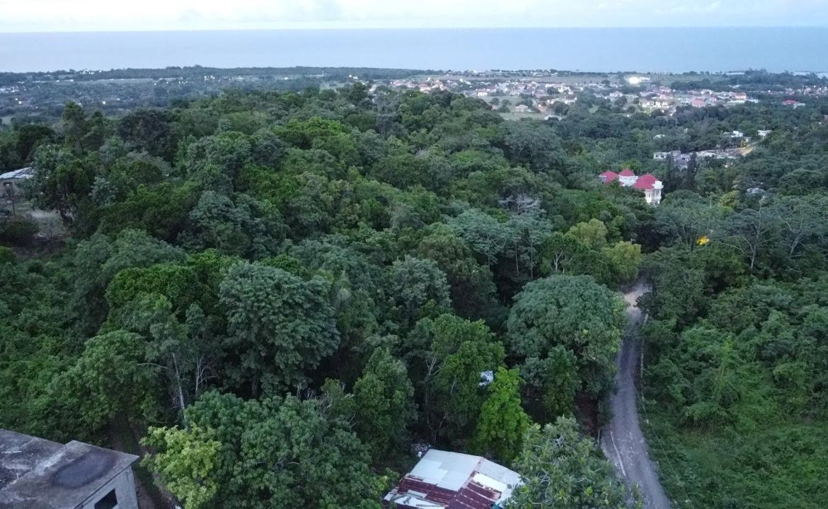 Fifteenth image of New Banks, Tanglewood in Ocho Rios, St. Ann, Jamaica - property is For Sale