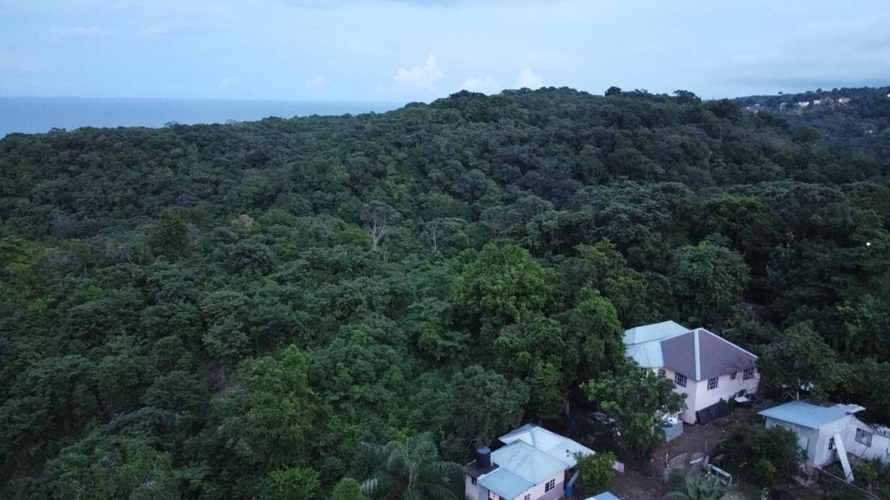 Sixteenth image of New Banks, Tanglewood in Ocho Rios, St. Ann, Jamaica - property is For Sale