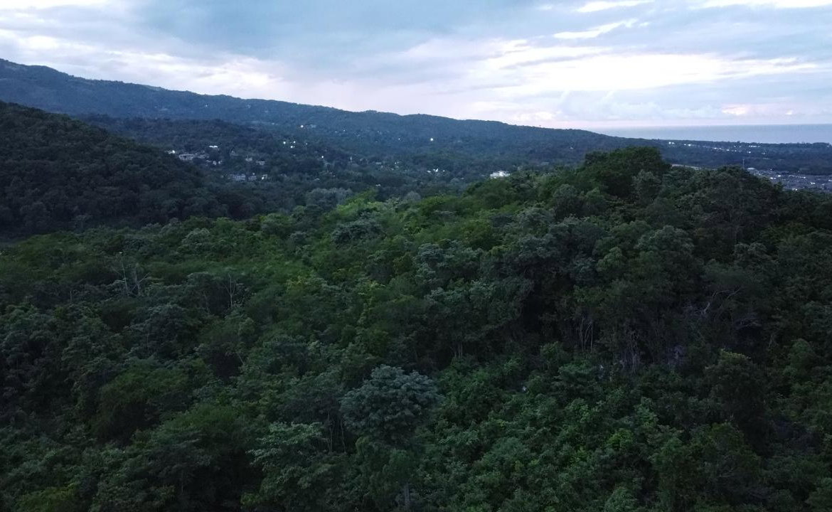 Nineteenth image of New Banks, Tanglewood in Ocho Rios, St. Ann, Jamaica - property is For Sale