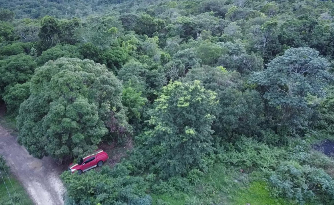 Twenty-Second image of New Banks, Tanglewood in Ocho Rios, St. Ann, Jamaica - property is For Sale