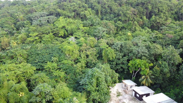 Twenty-Fourth image of New Banks, Tanglewood in Ocho Rios, St. Ann, Jamaica - property is For Sale