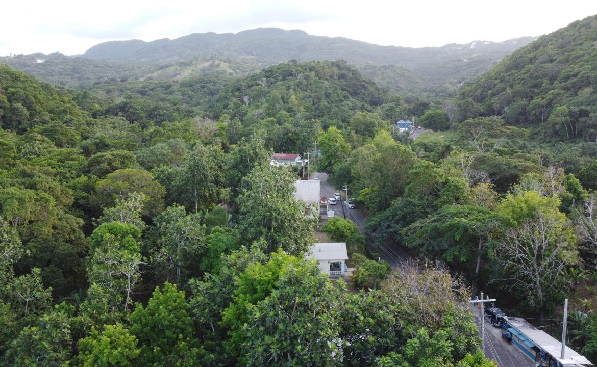 Twenty-Fifth image of New Banks, Tanglewood in Ocho Rios, St. Ann, Jamaica - property is For Sale
