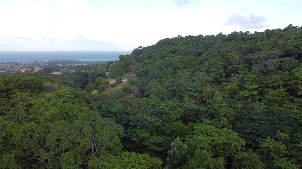 Twenty-Eighth image of New Banks, Tanglewood in Ocho Rios, St. Ann, Jamaica - property is For Sale