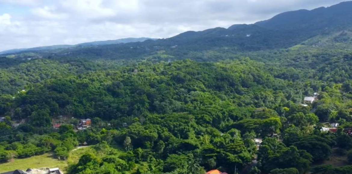 Fourth image of New Banks, Tanglewood in Ocho Rios, St. Ann, Jamaica - property is For Sale