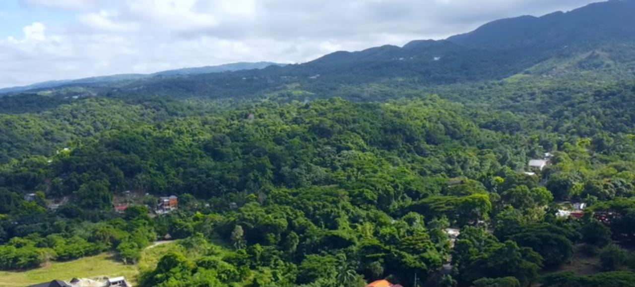 Fourth image of New Banks, Tanglewood in Ocho Rios, St. Ann, Jamaica - property is For Sale