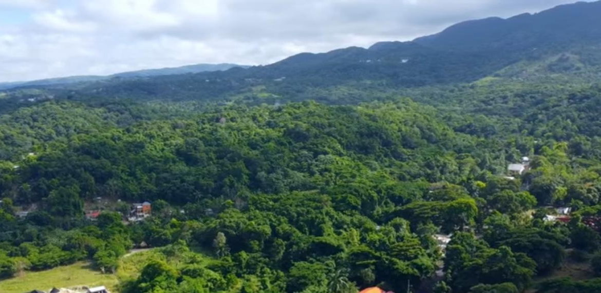 Fifth image of New Banks, Tanglewood in Ocho Rios, St. Ann, Jamaica - property is For Sale