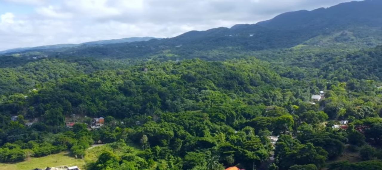 Fifth image of New Banks, Tanglewood in Ocho Rios, St. Ann, Jamaica - property is For Sale