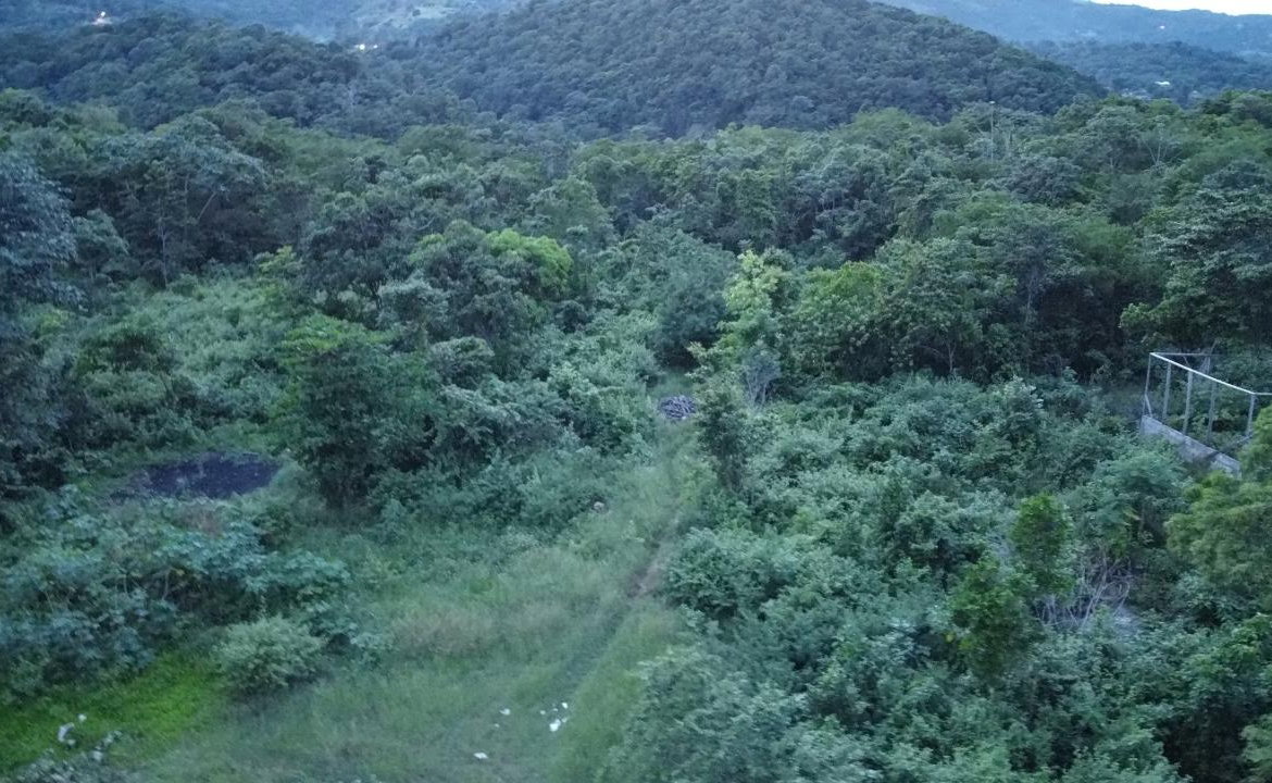Eighth image of New Banks, Tanglewood in Ocho Rios, St. Ann, Jamaica - property is For Sale